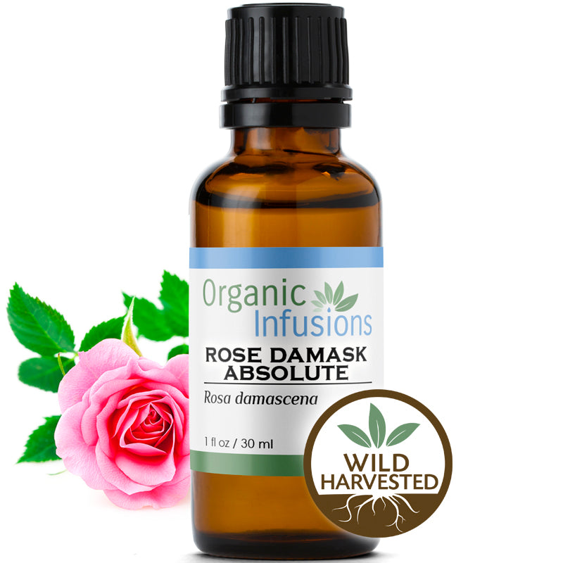 Rose Damask Absolute