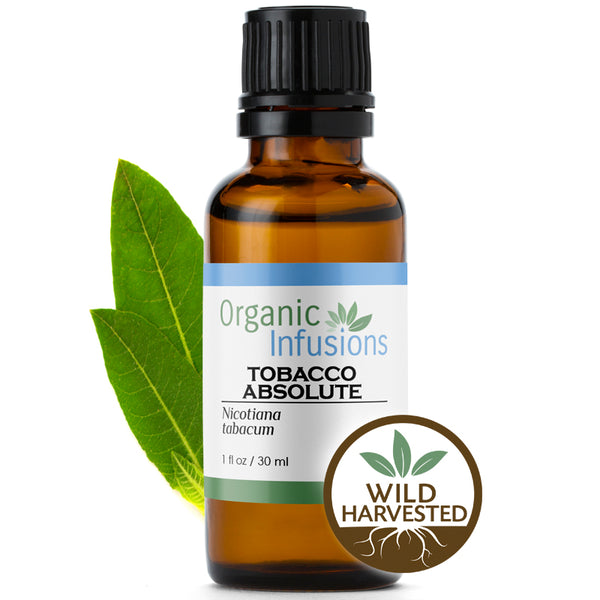 tobacco causes cancer Tobacco causes cancer tobacco causes cancer Tobacco causes cancer