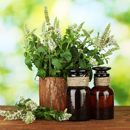 Infused Massage Oil - Mint Paradise