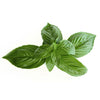 Basil, Sweet