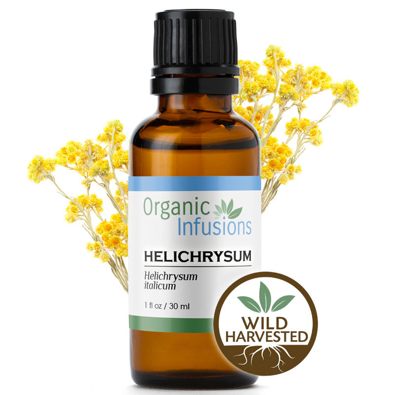 Helichrysum / Immortelle