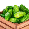 Cucumber Hydrosol