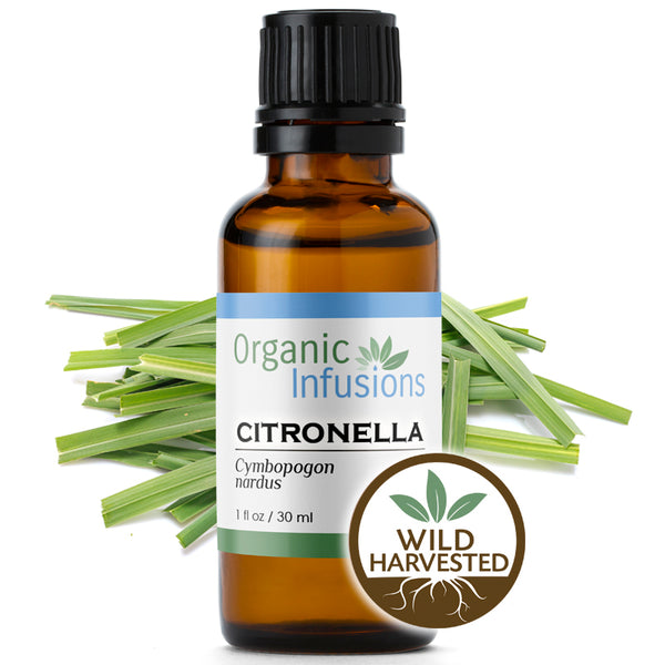 Citronella