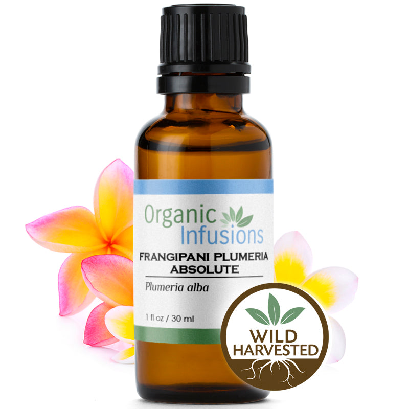 Frangipani Essential Oil (Plumeria) | Organic Infusions