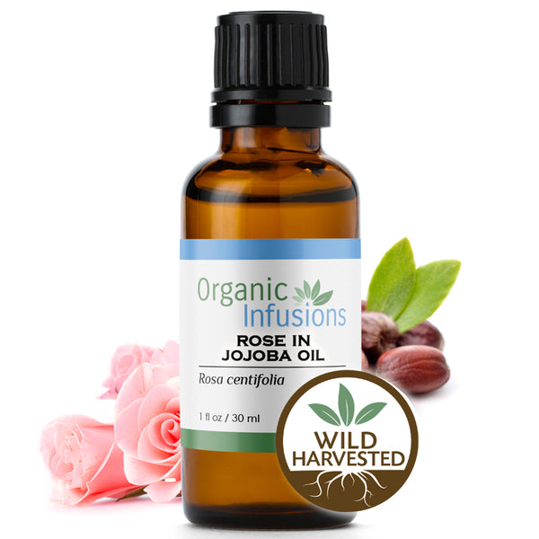Rose in Jojoba Oil