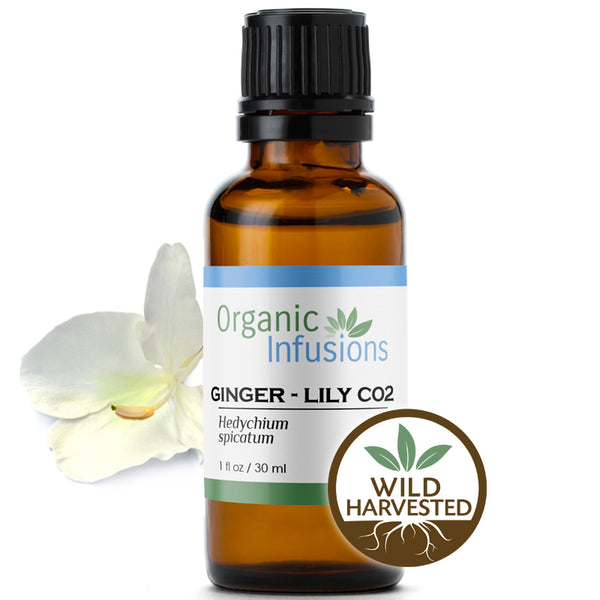 Ginger- Lily CO2