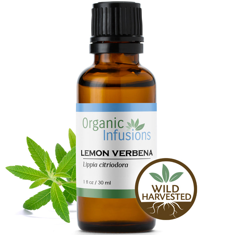 Verbena (Lemon Verbena) Essential Oil, Org - Alambika USA Organic Essential  Oils