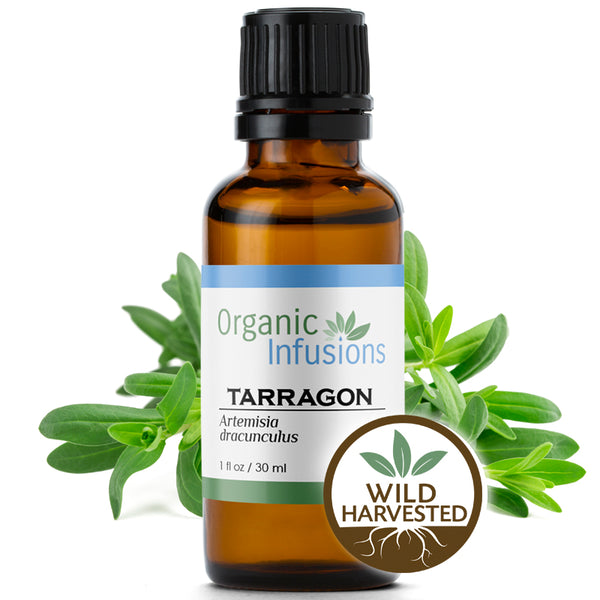 Tarragon