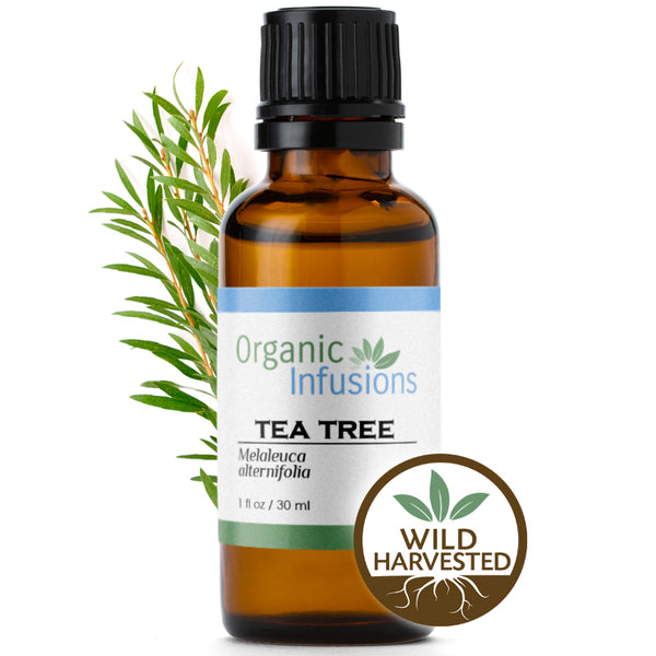 Tea Tree