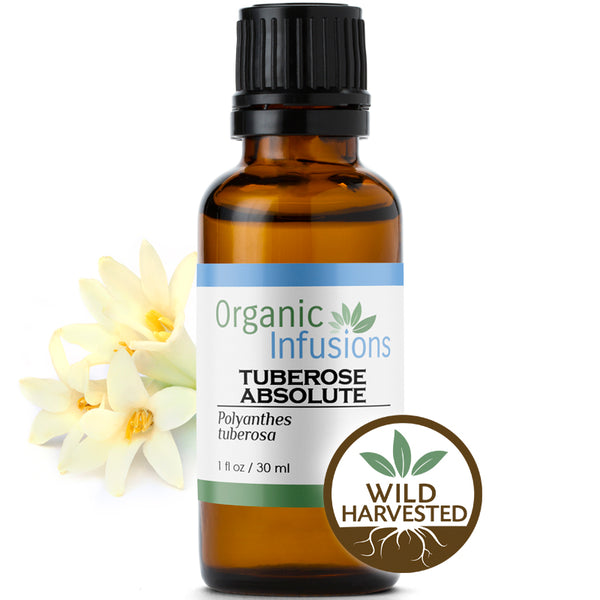 Tuberose Absolute