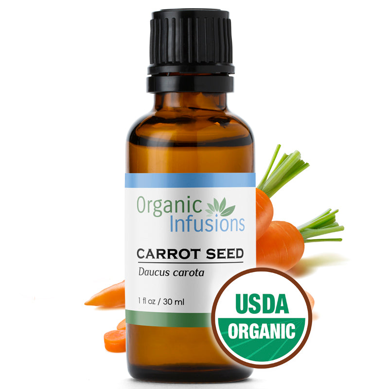Organic Carrot Seed Pure Essential Oil - Organic Infusions Inc