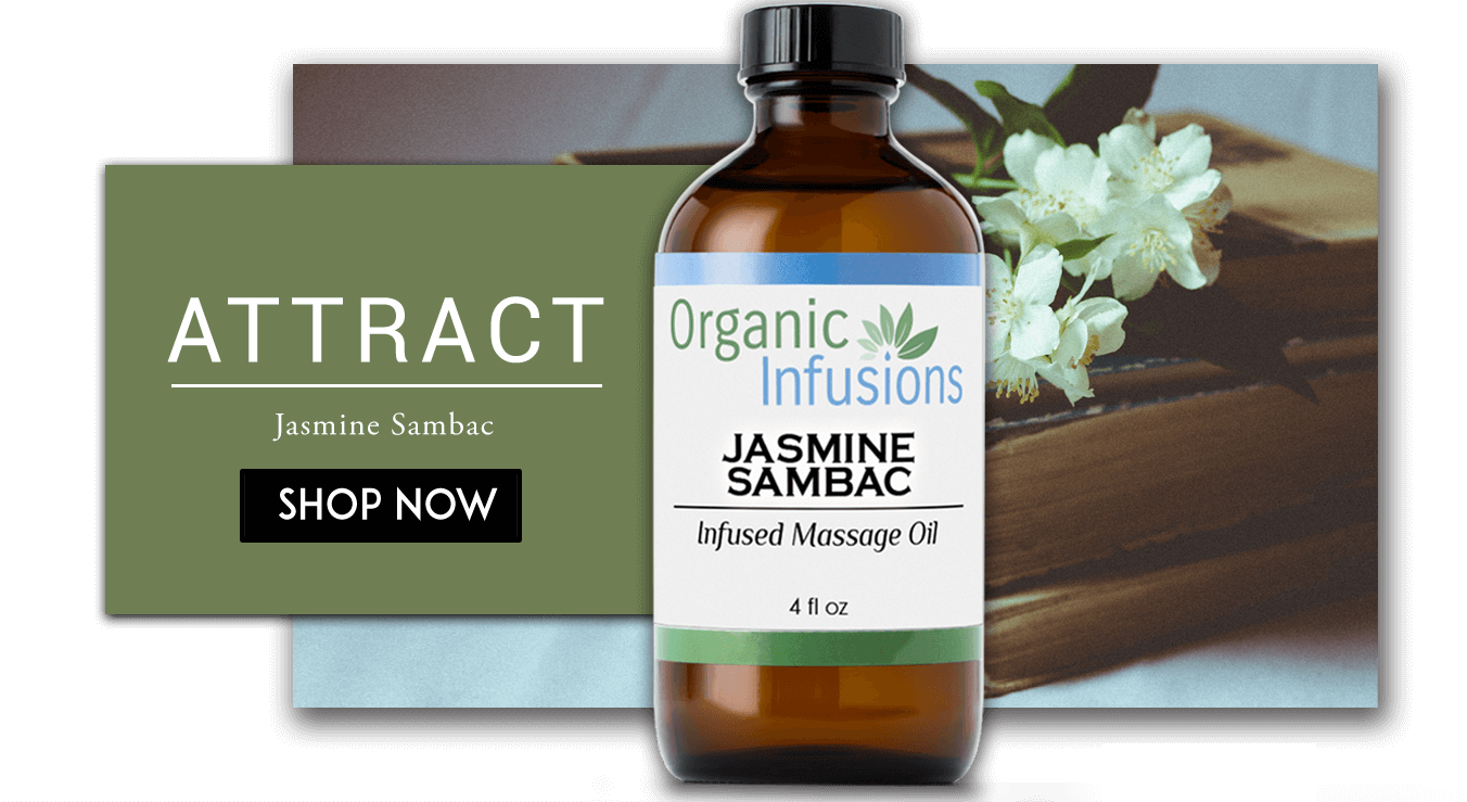Attract - Jasmine Sambac Infused Massage Oil