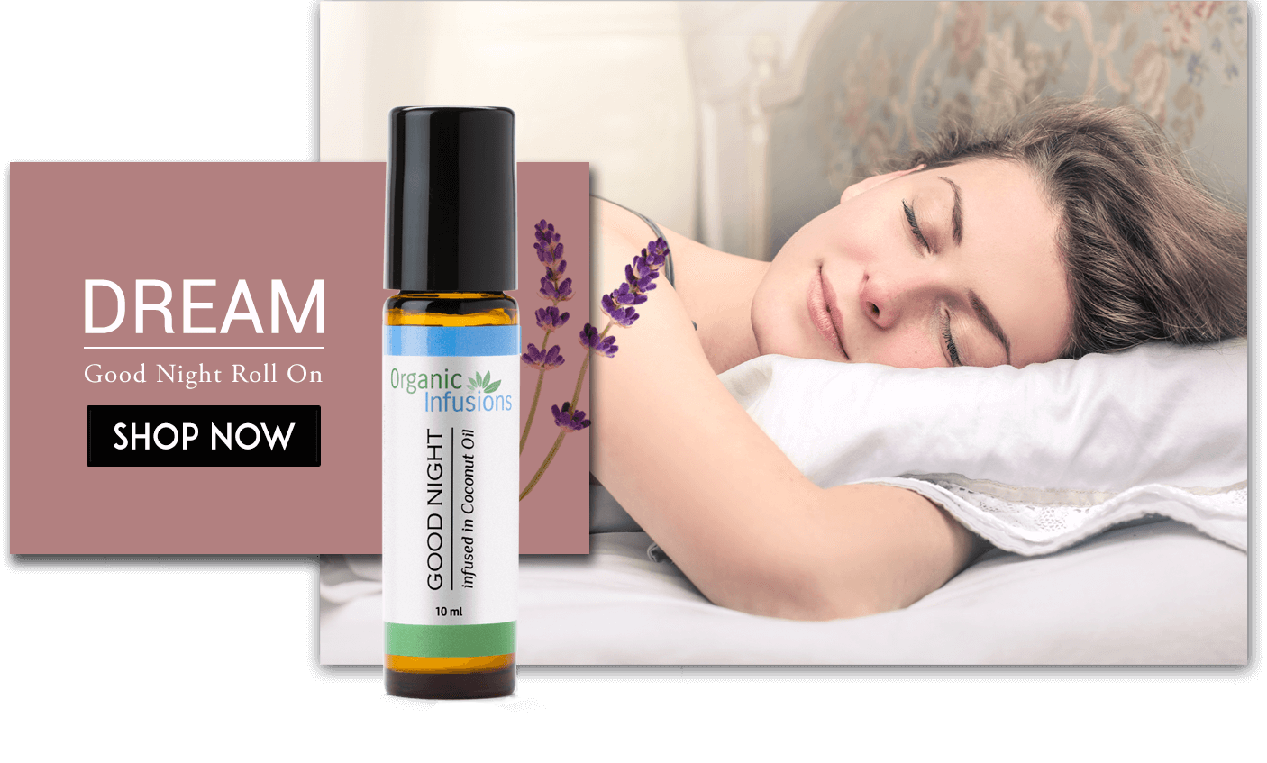 Dream - Good Night Roll On